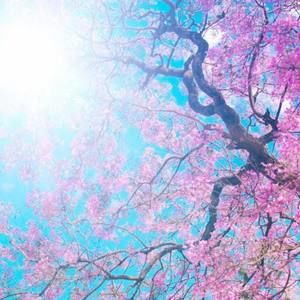 Meet your Posher, Braeden